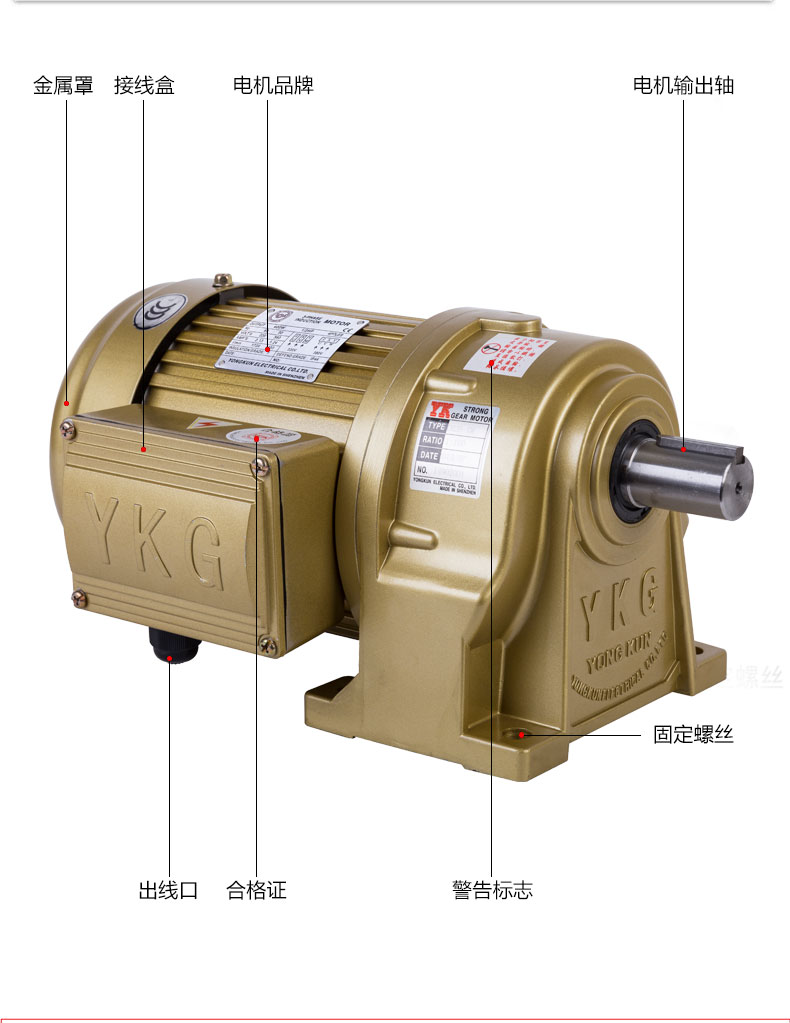 電機(jī)